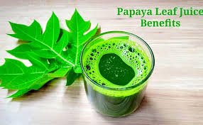 Papaya Leaf Juice